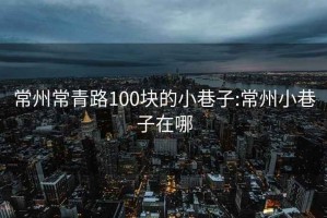 常州常青路100塊的小巷子:常州小巷子在哪