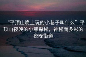 “平頂山晚上玩的小巷子叫什么”平頂山夜晚的小巷探秘，神秘而多彩的夜晚街道