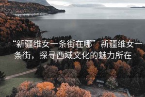 “新疆維女一條街在哪”新疆維女一條街，探尋西域文化的魅力所在