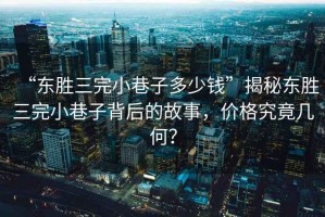 “東勝三完小巷子多少錢(qián)”揭秘東勝三完小巷子背后的故事，價(jià)格究竟幾何？