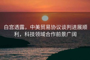 白宮透露，中美貿易協(xié)議談判進展順利，科技領域合作前景廣闊
