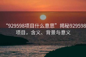 “929598項目什么意思”揭秘929598項目，含義、背景與意義