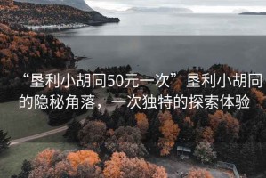 “墾利小胡同50元一次”墾利小胡同的隱秘角落，一次獨(dú)特的探索體驗(yàn)
