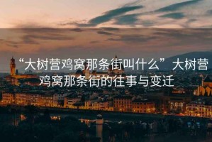 “大樹營雞窩那條街叫什么”大樹營雞窩那條街的往事與變遷