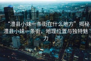 “澧縣小妹一條街在什么地方”揭秘澧縣小妹一條街，地理位置與獨特魅力
