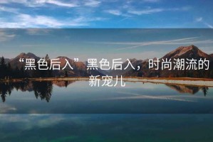 “黑色后入”黑色后入，時尚潮流的新寵兒