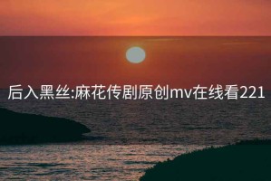 后入黑絲:麻花傳劇原創(chuàng)mv在線看221