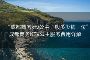“成都商務ktv公主一般多少錢一位”成都商務KTV公主服務費用詳解