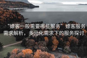 “嫖客一般需要哪些服務(wù)”嫖客服務(wù)需求解析，多元化需求下的服務(wù)探討