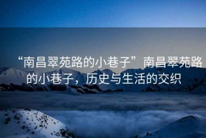 “南昌翠苑路的小巷子”南昌翠苑路的小巷子，歷史與生活的交織