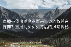 直播帶貨熱潮席卷而來，你的權(quán)益在裸奔？直播間買買買背后的風(fēng)險揭秘