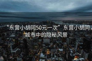 “東營(yíng)小胡同50元一次”東營(yíng)小胡同，城市中的隱秘風(fēng)景