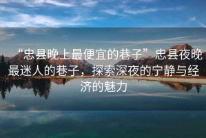 “忠縣晚上最便宜的巷子”忠縣夜晚最迷人的巷子，探索深夜的寧靜與經(jīng)濟的魅力