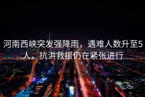 河南西峽突發(fā)強降雨，遇難人數(shù)升至5人，抗洪救援仍在緊張進行