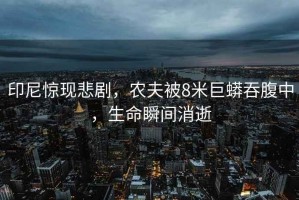 印尼驚現(xiàn)悲劇，農(nóng)夫被8米巨蟒吞腹中，生命瞬間消逝