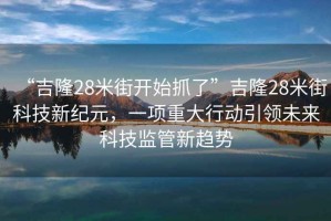 “吉隆28米街開始抓了”吉隆28米街科技新紀元，一項重大行動引領(lǐng)未來科技監(jiān)管新趨勢
