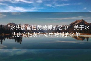 “水頭唐宮掃黃被抓的名單”關(guān)于水頭唐宮掃黃行動(dòng)中被抓的名單
