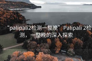 “palipali2檢測一整晚”Palipali 2檢測，一整晚的深入探索