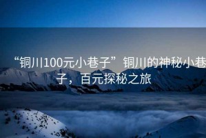 “銅川100元小巷子”銅川的神秘小巷子，百元探秘之旅