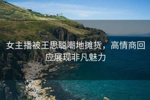 女主播被王思聰嘲地攤貨，高情商回應(yīng)展現(xiàn)非凡魅力