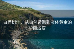 白樺樹汁，從自然饋贈到液體黃金的華麗蛻變