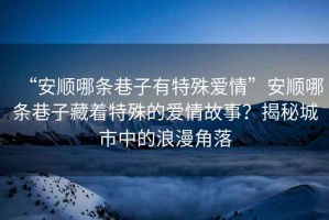 “安順哪條巷子有特殊愛情”安順哪條巷子藏著特殊的愛情故事？揭秘城市中的浪漫角落