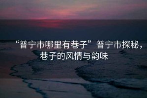 “普寧市哪里有巷子”普寧市探秘，巷子的風情與韻味