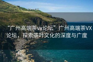 “廣州高端茶vx論壇”廣州高端茶VX論壇，探索茶葉文化的深度與廣度
