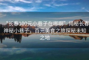 “長(zhǎng)春100元小巷子在哪啊”揭秘長(zhǎng)春神秘小巷子，百元美食之旅探秘未知之地