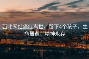 西北網(wǎng)紅癌癥離世，留下4個孩子，生命雖逝，精神永存