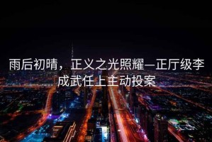 雨后初晴，正義之光照耀—正廳級(jí)李成武任上主動(dòng)投案