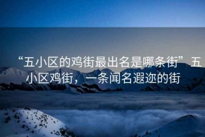 “五小區(qū)的雞街最出名是哪條街”五小區(qū)雞街，一條聞名遐邇的街