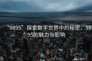 “9895”探索數(shù)字世界中的秘密，9895的魅力與影響