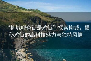 “柳城哪條街是雞街”探索柳城，揭秘雞街的高科技魅力與獨(dú)特風(fēng)情
