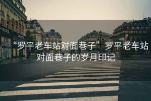 “羅平老車站對(duì)面巷子”羅平老車站對(duì)面巷子的歲月印記