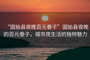 “固始縣夜晚百元巷子”固始縣夜晚的百元巷子，城市夜生活的獨特魅力