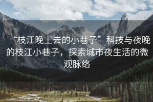 “枝江晚上去的小巷子”科技與夜晚的枝江小巷子，探索城市夜生活的微觀脈絡