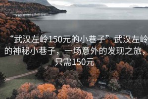 “武漢左嶺150元的小巷子”武漢左嶺的神秘小巷子，一場意外的發(fā)現(xiàn)之旅，只需150元