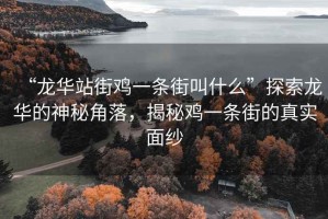 “龍華站街雞一條街叫什么”探索龍華的神秘角落，揭秘雞一條街的真實(shí)面紗
