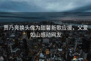 賈乃亮換頭像為甜馨新歌應(yīng)援，父愛如山感動網(wǎng)友