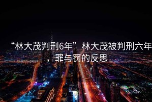 “林大茂判刑6年”林大茂被判刑六年，罪與罰的反思