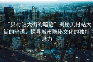“貝村站大街的暗語”揭秘貝村站大街的暗語，探尋城市隱秘文化的獨特魅力
