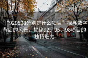 “929598分別是什么項目”探尋數(shù)字背后的風景，揭秘92、95、98項目的獨特魅力