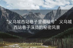 “義烏城西站巷子里面暗號(hào)”義烏城西站巷子深處的秘密風(fēng)景