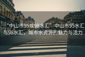 “中山市95或98水匯”中山市95水匯與98水匯，城市水資源的魅力與活力