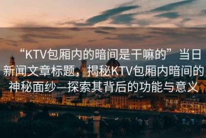 “KTV包廂內(nèi)的暗間是干嘛的”當(dāng)日新聞文章標(biāo)題，揭秘KTV包廂內(nèi)暗間的神秘面紗—探索其背后的功能與意義