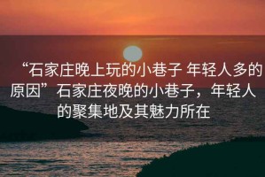 “石家莊晚上玩的小巷子 年輕人多的原因”石家莊夜晚的小巷子，年輕人的聚集地及其魅力所在