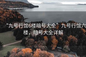 “九號(hào)行館6樓暗號(hào)大全”九號(hào)行館六樓，暗號(hào)大全詳解