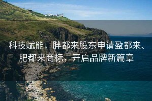 科技賦能，胖都來股東申請盈都來、肥都來商標，開啟品牌新篇章