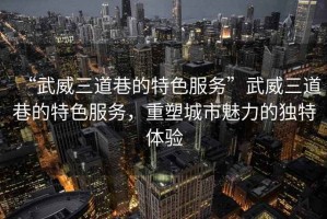 “武威三道巷的特色服務(wù)”武威三道巷的特色服務(wù)，重塑城市魅力的獨(dú)特體驗(yàn)